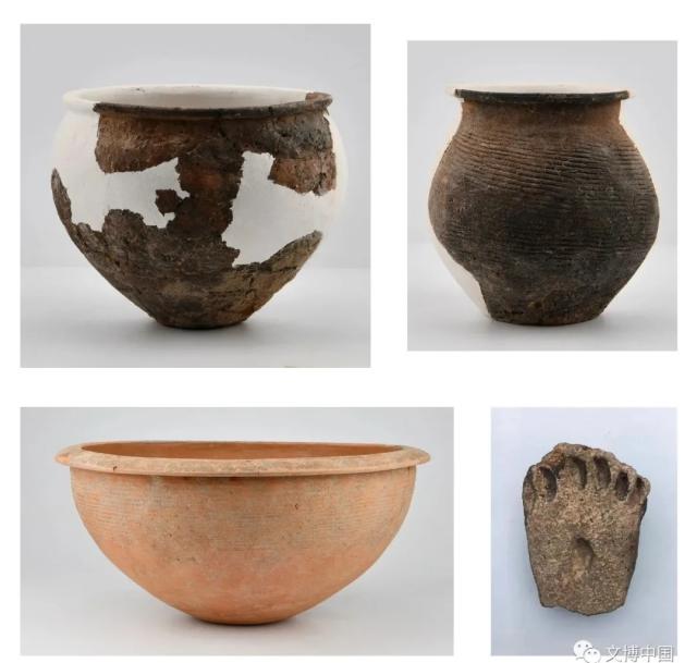 新发现| 山西夏县师村：中国最早的石雕蚕蛹与盐湖之畔的仰韶早期聚落